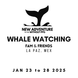 WHALE WATCHING