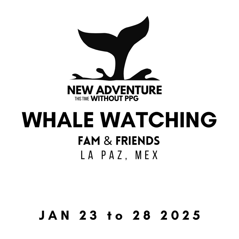 WHALE WATCHING